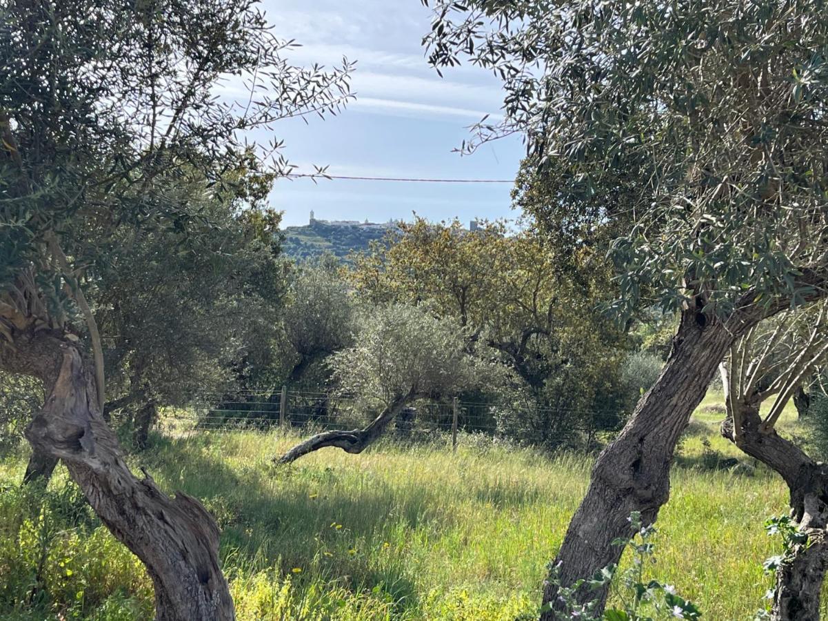 Villa Monte De Santa Maria Monsaraz Esterno foto