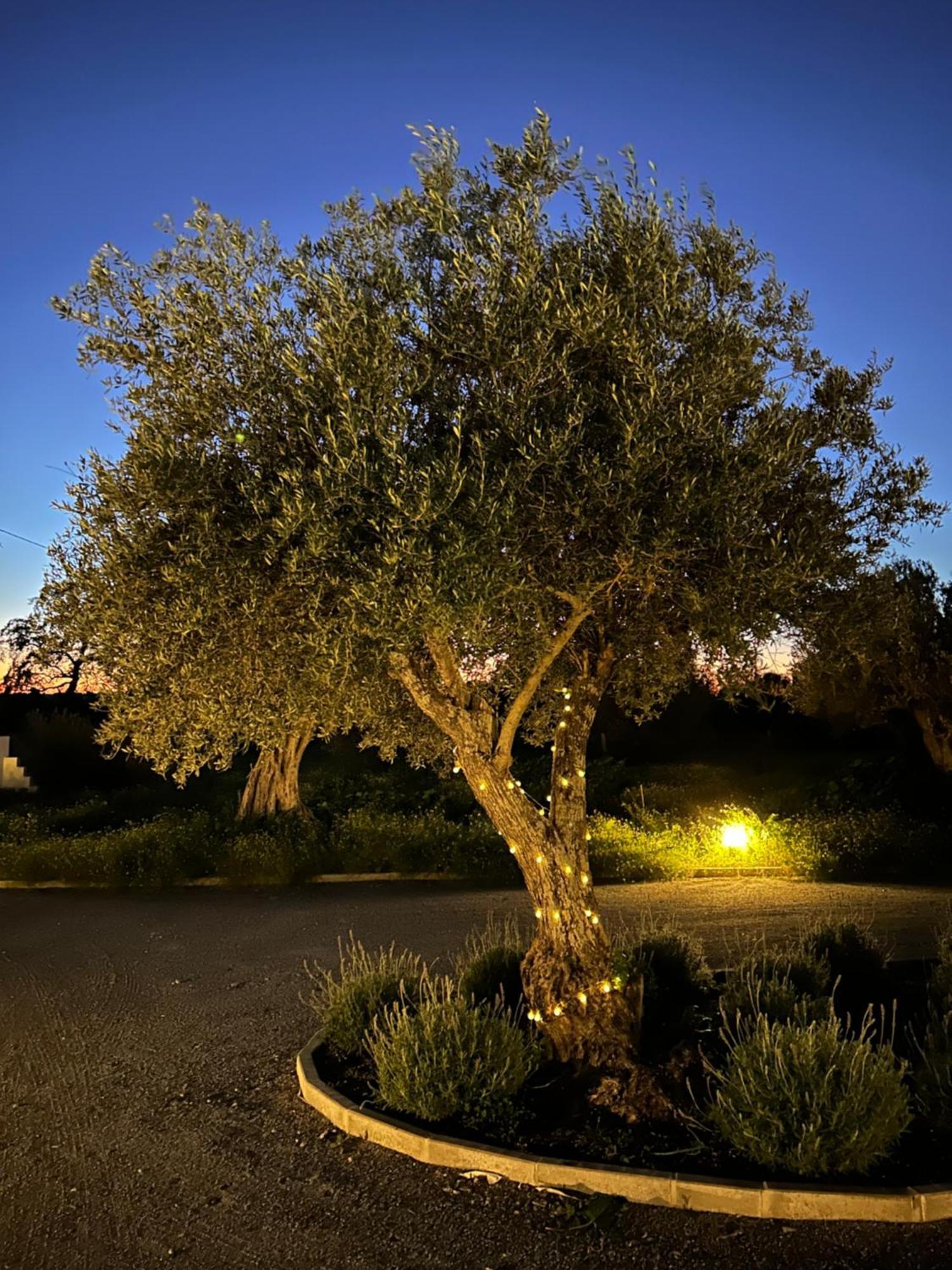 Villa Monte De Santa Maria Monsaraz Esterno foto