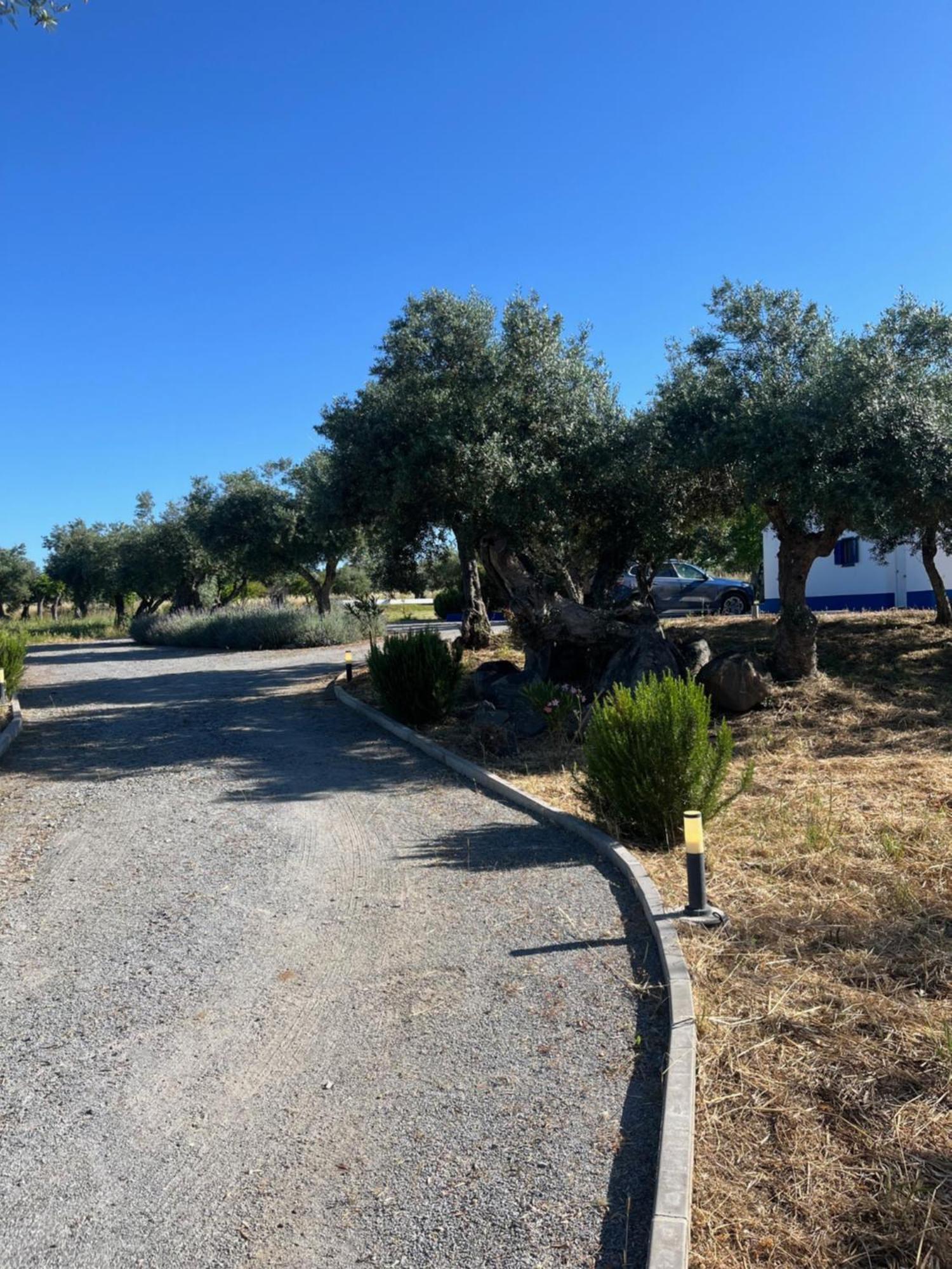 Villa Monte De Santa Maria Monsaraz Esterno foto